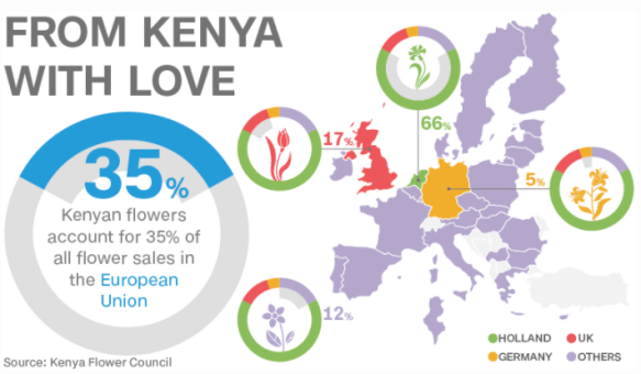 Screen Shot 2018-02-14 at 6.27.57 PM.png